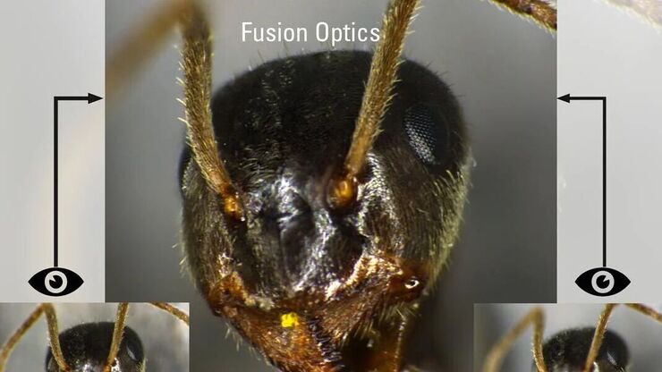 FusionOptics技术兼具高分辨率和大景深。